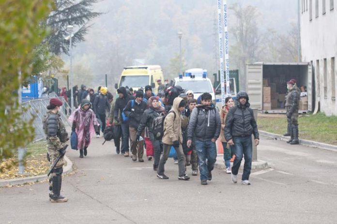 imigranci, uchodźcy